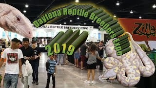 Daytona National Reptile Breeders Expo 2019 Part 1 of 3 [upl. by Acsecnarf771]