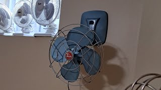 1950s torcan wall fan  after restoration [upl. by Aihsoj]