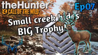 Fresh Start Ep7  theHunter Call of the Wild [upl. by Aicnilav]