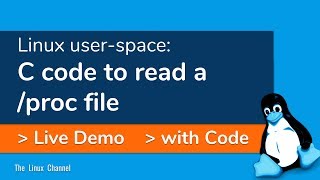 345 C code to read a proc file in Linux userspace  Live Demo and Example linux programming [upl. by Hoes]