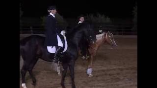 east meets west reining vs dressage [upl. by Frerichs]