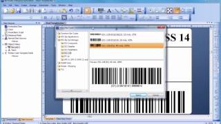 How to Use Bartender Label Design Software [upl. by Gusty993]