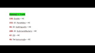 DÜTF 2 Sınıf  Sindirim sistemi DK  Histoloji 1 Pratik [upl. by Netaf]