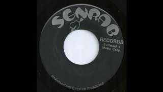 John Clarke 7quot Reggae Dub 45  Pollution bw Version  Senrab Records  Bullwackies All Stars [upl. by Ogawa]