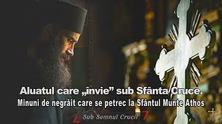 Aluatul care „învie” sub Sfânta Cruce  Minuni de negrait care se petrec la Sfantul Munte Athos [upl. by Anerda864]