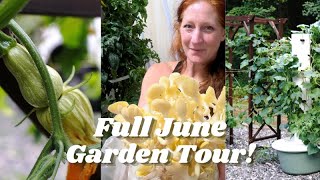 Vertical Aeroponic Tower Garden Tour June  Edible landscape  Mushroom Grow tent Tower gardens [upl. by Helas608]