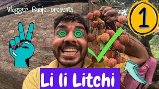 Li Li LiTCHi  Vlog 125 [upl. by Aylatan]