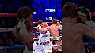 Canelo vs GGG highlights🥊🔥 gennadygolovkin canelo boxing [upl. by Taam882]