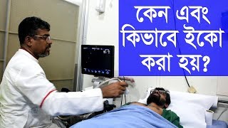 কেন এবং কিভাবে হার্টের ইকো করা হয় How to do echocardiography [upl. by Mendie]