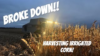 I Broke Down Picking Irrigated Corn Can I Fix It [upl. by Rotsen]