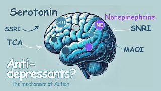 Do you know how Antidepressants work [upl. by Relly]