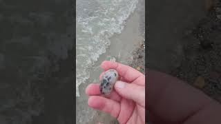 Petoskey stone at airbnbcomhjeremiahlakehouse [upl. by Eusebio]