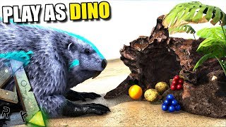 NEW BEAVER UPDATE  WE CAN MAKE BEAVER DAMS  PLAY AS DINO  ARK SURVIVAL EVOLVED [upl. by Warila867]