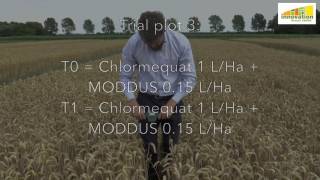 Syngenta MODDUS  uprooting your cereal crop with newton meter [upl. by Horick]