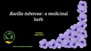 Ruellia tuberosa a medicinal plant of Odisha [upl. by Kinsman]