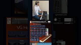 TEControl breath controller amp VG Harmonica sample library for Kontakt vgtrumpet kontakt tecontrol [upl. by Zetrom]