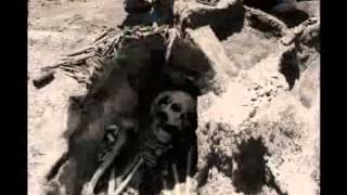 Remains of Nephilim found in Israel [upl. by Assital]