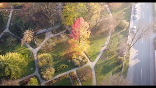 BOTANIČNI VRT LJUBLJANA V JESENSKEM ČASU University Botanic gardens Ljubljana in autumn [upl. by Reivazx]