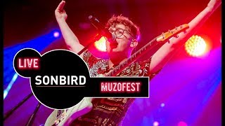 Sonbird  koncert MUZOFEST 2019 [upl. by Hennahane]