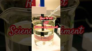 How to set pH scienceexperiment science research researcherlife researchmethod [upl. by Spieler251]