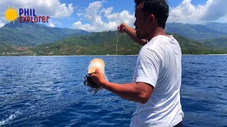 AMAZING TRADITIONAL FISHING TECHNIQUES IN THE PHILIPPINES  CATCHING DOLPHIN FISHSKIPJACK TUNA [upl. by Oileduab830]