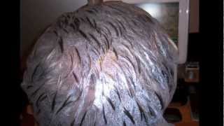 How to get rid of lice without poison [upl. by Marasco]