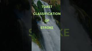 TOAST Classification of Stroke classification stroke ischemicstroke toast learning [upl. by Alahs]