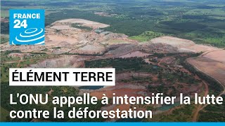 LONU appelle à plus dengagement des Etats contre la déforestation • FRANCE 24 [upl. by Elorac889]