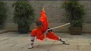 Shaolin Kung Fu weapon breezing sword [upl. by Eicaj]