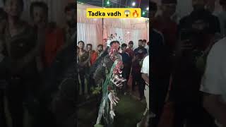 Tadka vadh 2024 ramleela tadka tadkavadh [upl. by Hayotal]