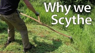 Why we Scythe for Cutting Grass Mulch and Feed [upl. by Chavez]