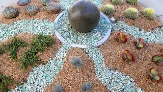 How to Make a Circular Succulent Garden Start to Finish [upl. by Malissia]