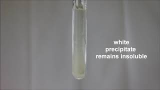 Cation Test Test for Aluminium ion with Aqueous Ammonia [upl. by Euqinom]