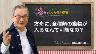 Q29ノアの方舟にすべての動物を入れることができますか？【3分でわかる聖書】 [upl. by Ylrebmit146]