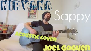 Sappy  Nirvana Acoustic Cover by Joel Goguen [upl. by Laup]