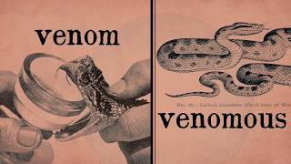 The Power of Poison  Venomous vs Poisonous [upl. by Roda]