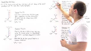 Basic and Acidic Amino Acids [upl. by Celio408]