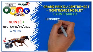 Pronostic Quinté PMU 🏇 Mercredi 18 septembre 2024 🏆 LYON PARILLY [upl. by Ettari]