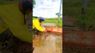 Cleaning Out Clogged Drains shorts shortvideo unclog satisfying video [upl. by Markos]