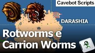 CAVEBOT SCRIPT Darashia  Cave Nordeste  Rotworms amp Carrion Worm  All Vocation  ElfBot [upl. by Pitarys]