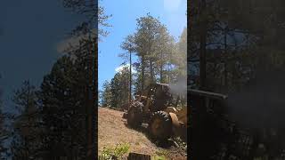 LOUD Tree Farmer 353 Detroit Diesel Mountain Logging [upl. by Aillicsirp]