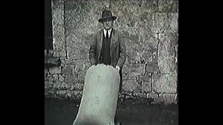 Messrs Murphy Brothers Rathangan ltd Malting Barley Season [upl. by Reinertson966]