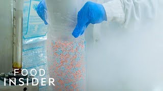 How Dippin Dots Are Made [upl. by Jillene]