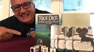 Rice Dice Review [upl. by Linneman]