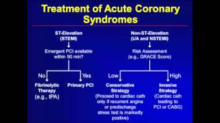 Acute Coronary Syndromes [upl. by Gamages200]