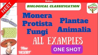 examples of biological classification  Monera  Protista  fungi  plantae  Animalia  algae amit [upl. by Divadnoj]