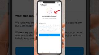 Youre Back On Instagram  How To Fix Instagram Back  Youre Back On Instagram Account 2024 Shorts [upl. by Muiram]
