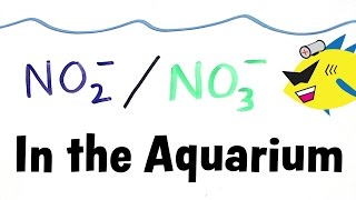 Nitrite and Nitrate in the Aquarium [upl. by Asabi]