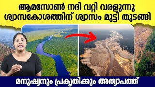 ഭൂമിക്ക് ശ്വാസം മുട്ടുന്നു  Amazon River Dried Up What Comes Next  Malayalam  Rain Forest [upl. by Ttocs38]