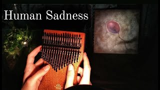 Human Sadness demo  The Voidz  Kalimba cover with TABS [upl. by Platus228]